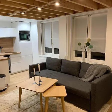 Duplex Vieux * Lille