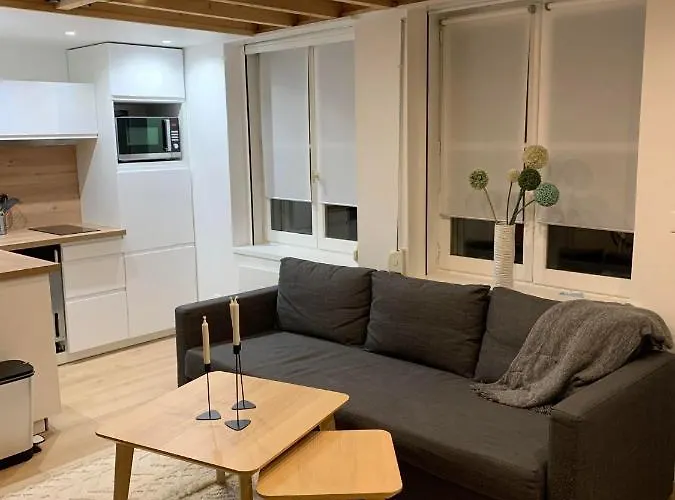 Duplex Vieux * Lille